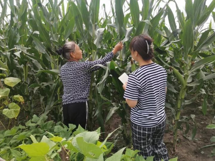 1630045249993646.jpg 640.webp (7).jpg