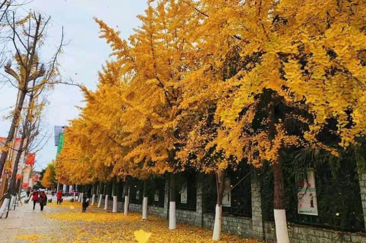 1639726652887573.jpg 640.webp (69).jpg